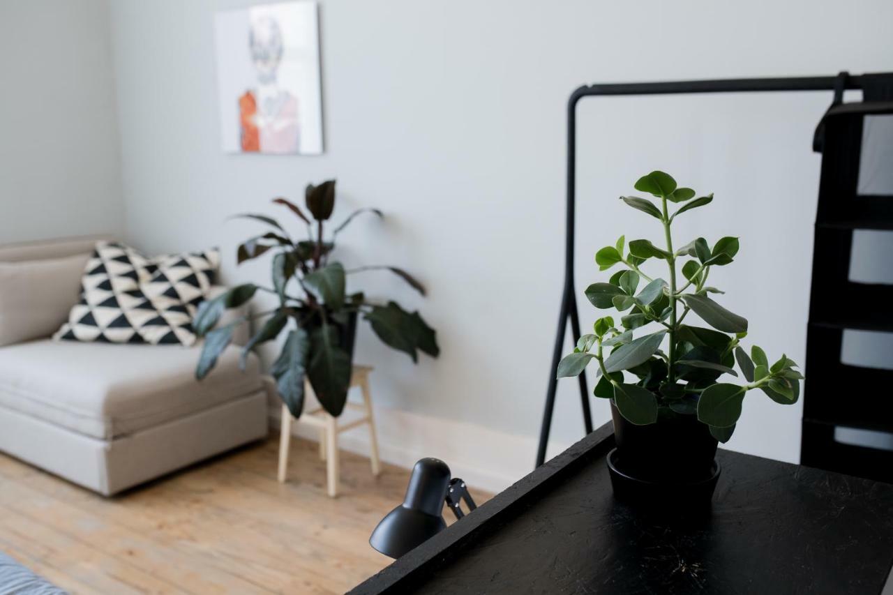 פורטו Baixa24 •P2R• Bright Apt In Vibrant Downtown מראה חיצוני תמונה
